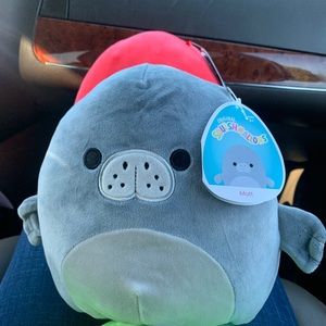 Squishmellow Matt manatee